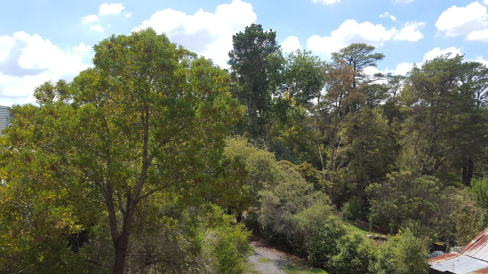 Hepburn Springs Motor Inn Dış mekan fotoğraf