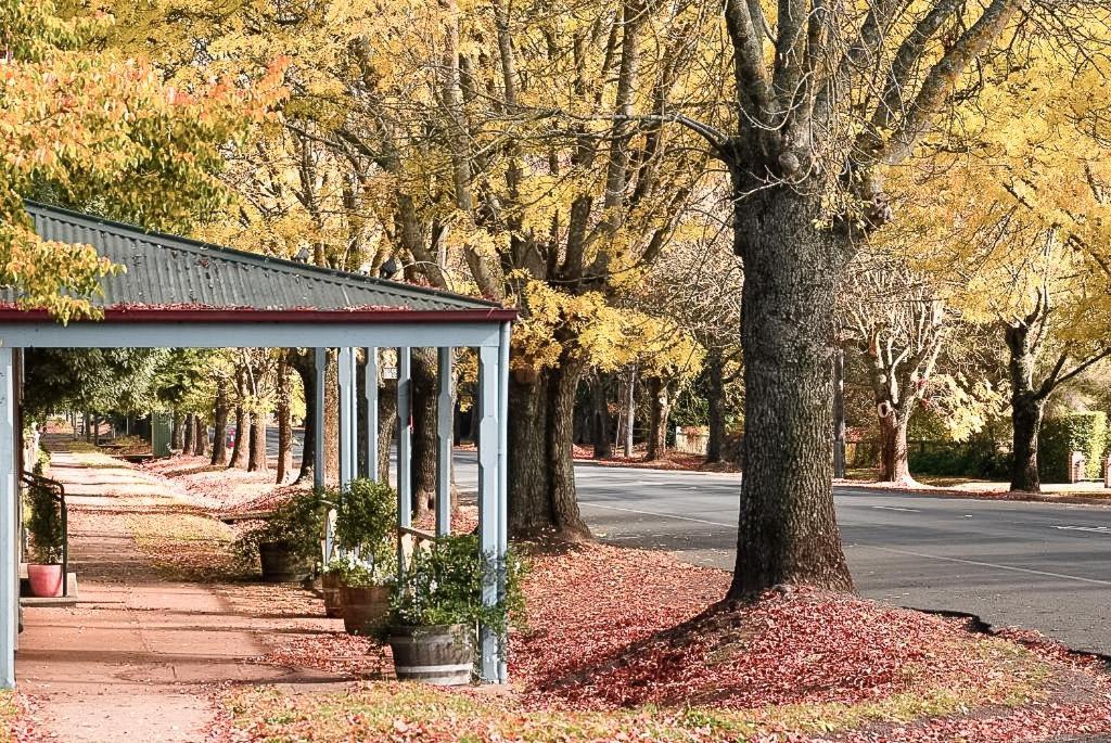 Hepburn Springs Motor Inn Dış mekan fotoğraf